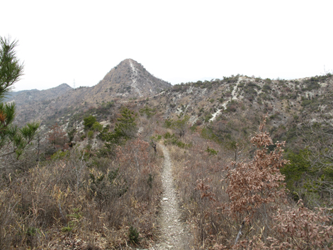 20140125hike (275)